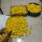 jasa molding plastik