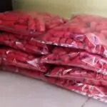 jasa molding plastik